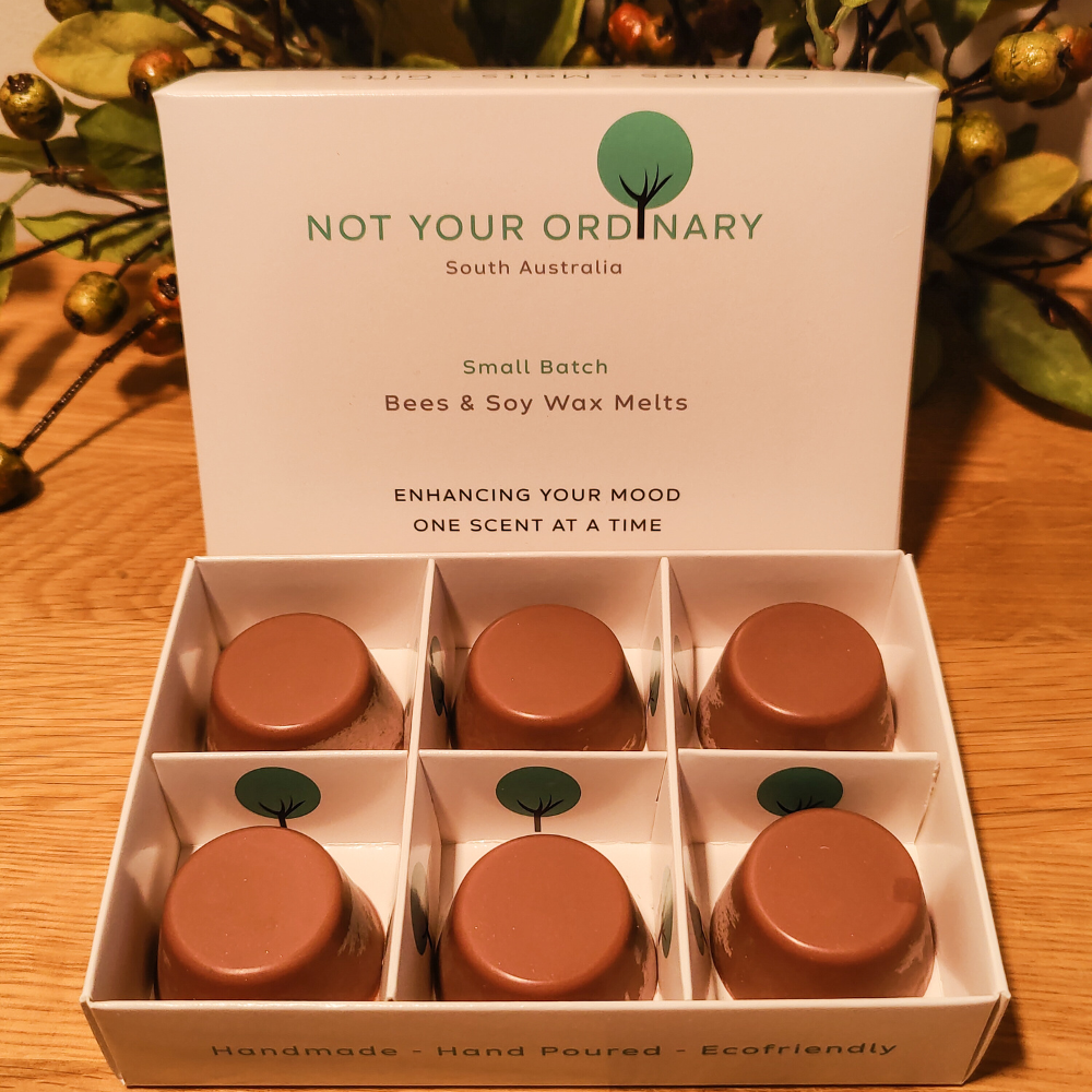 Xmas in July Wax Melts